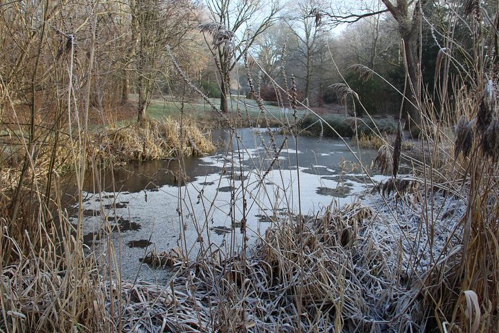 Skip-the-Line: Botanic Garden Entry Ticket - Photo 1 of 7